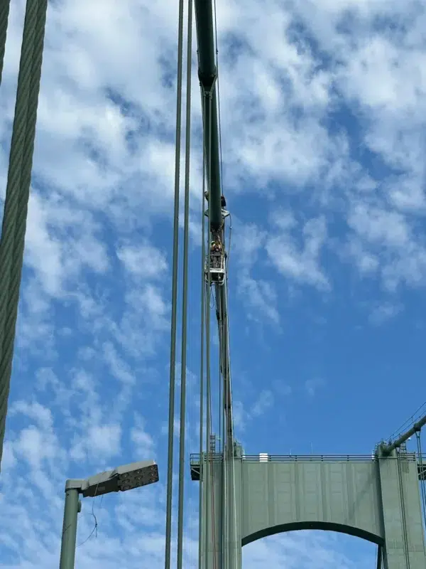 IC1000 Industrial Work Cage - Image 4
